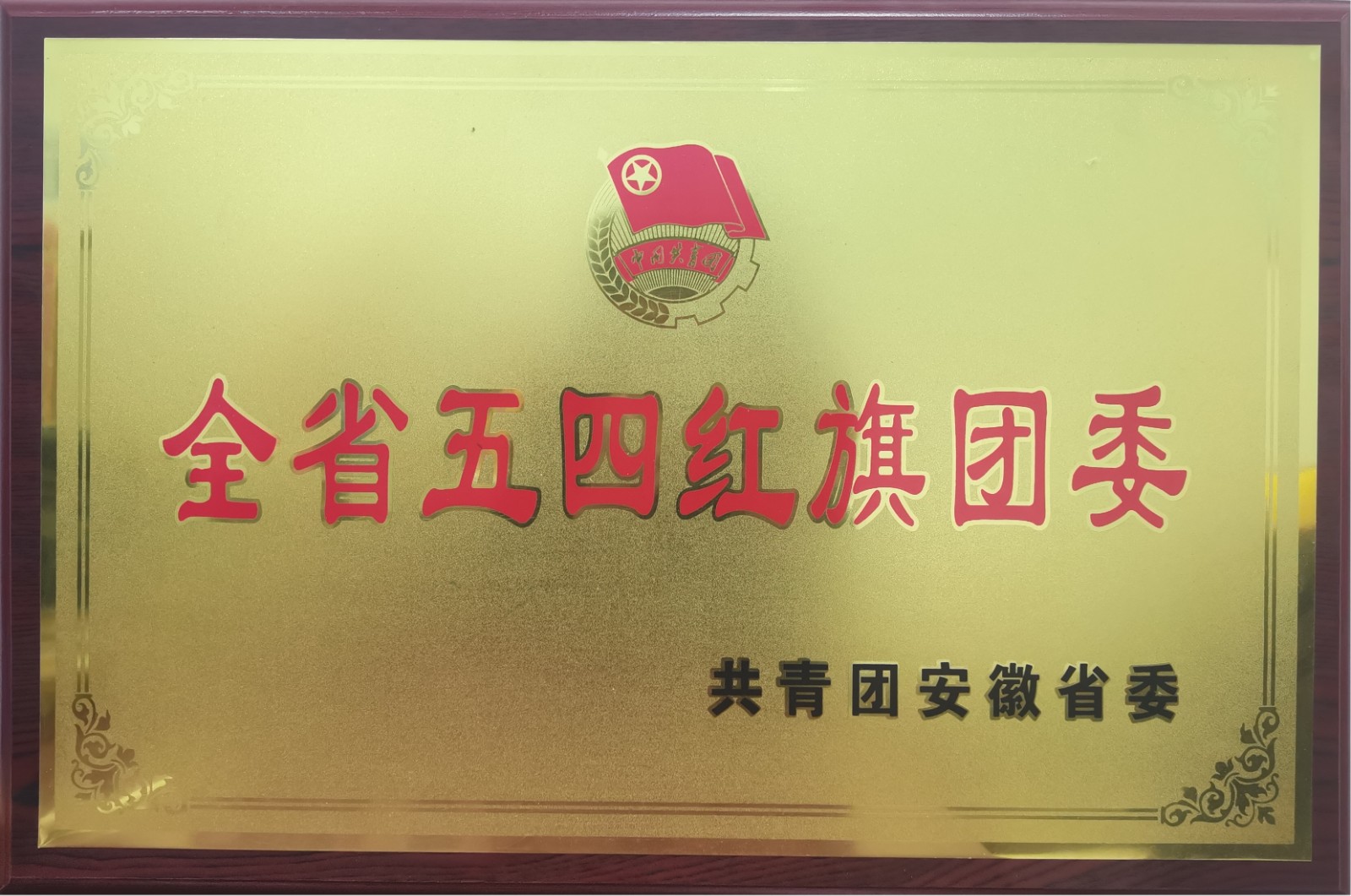 1-1全省五四红旗团委.JPG